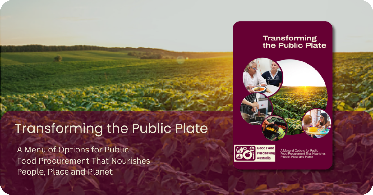 Website Landscape Image (6)